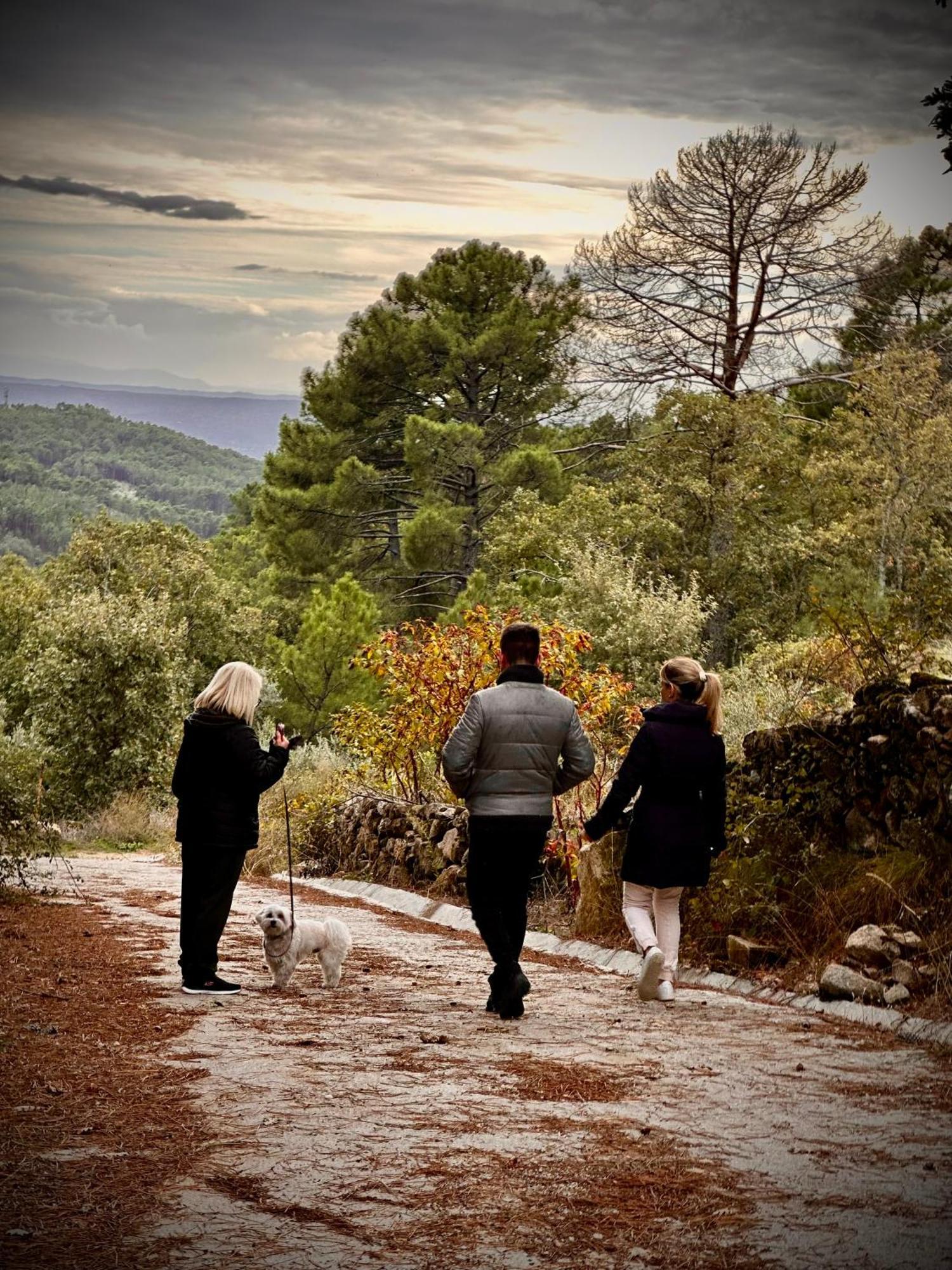 Apartment Gredos Starlight House